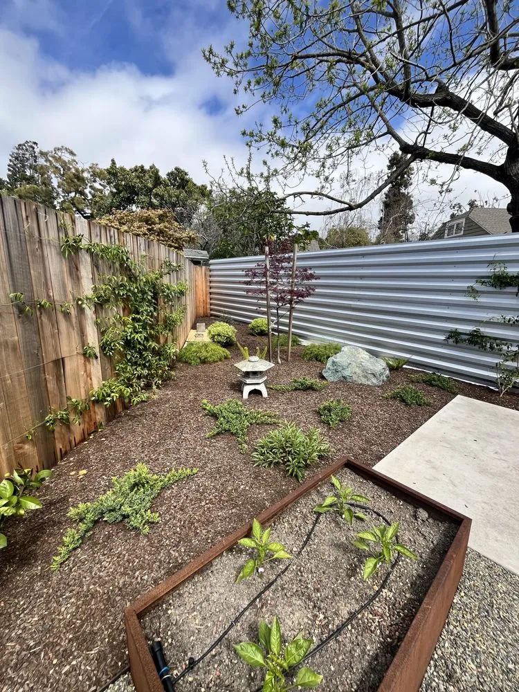 Affordable landscape design in Berkeley, CA by RSC Landscape