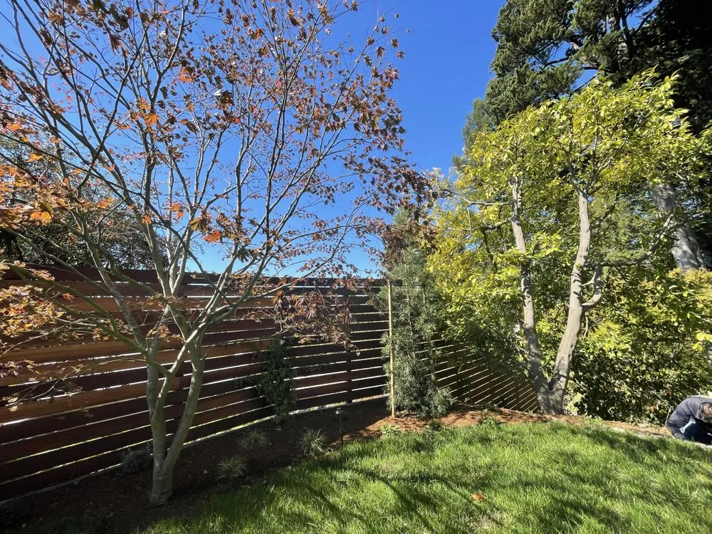 Custom residential landscaping for year-round maintenance in Berkeley, CA by RSC Landscape