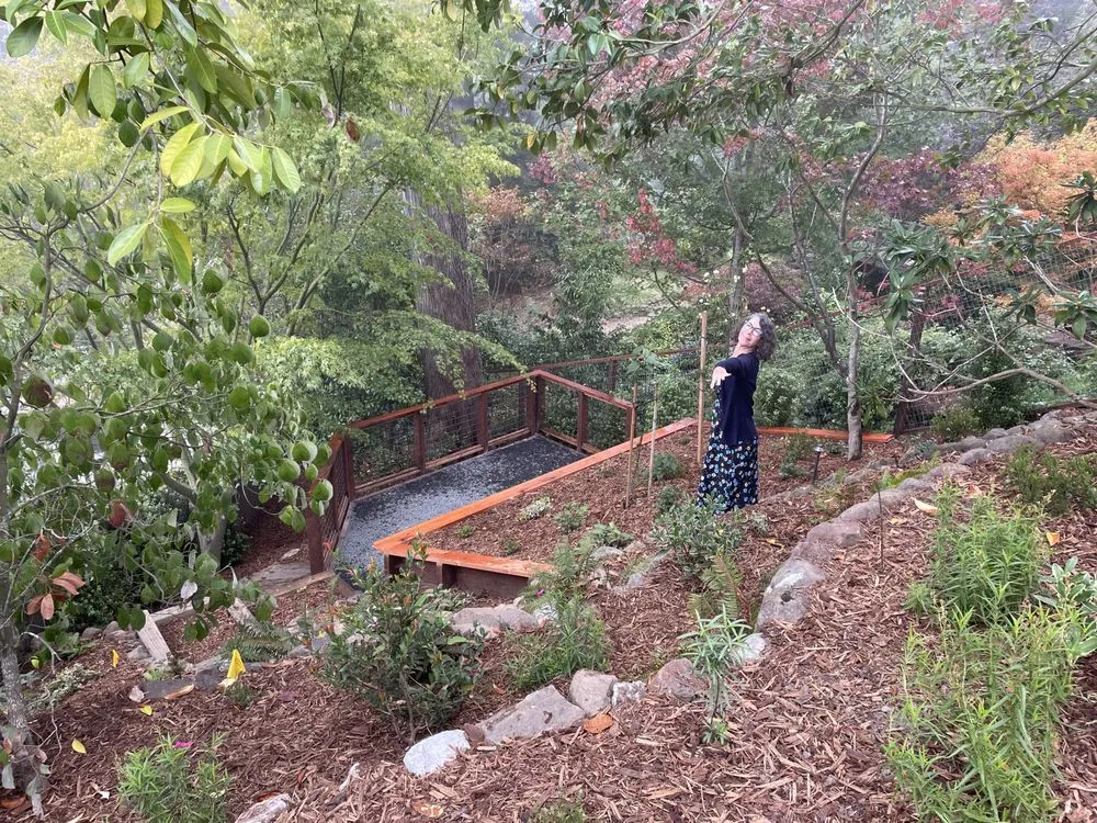 Top-rated yard maintenance for residential properties in Berkeley, CA by RSC Landscape