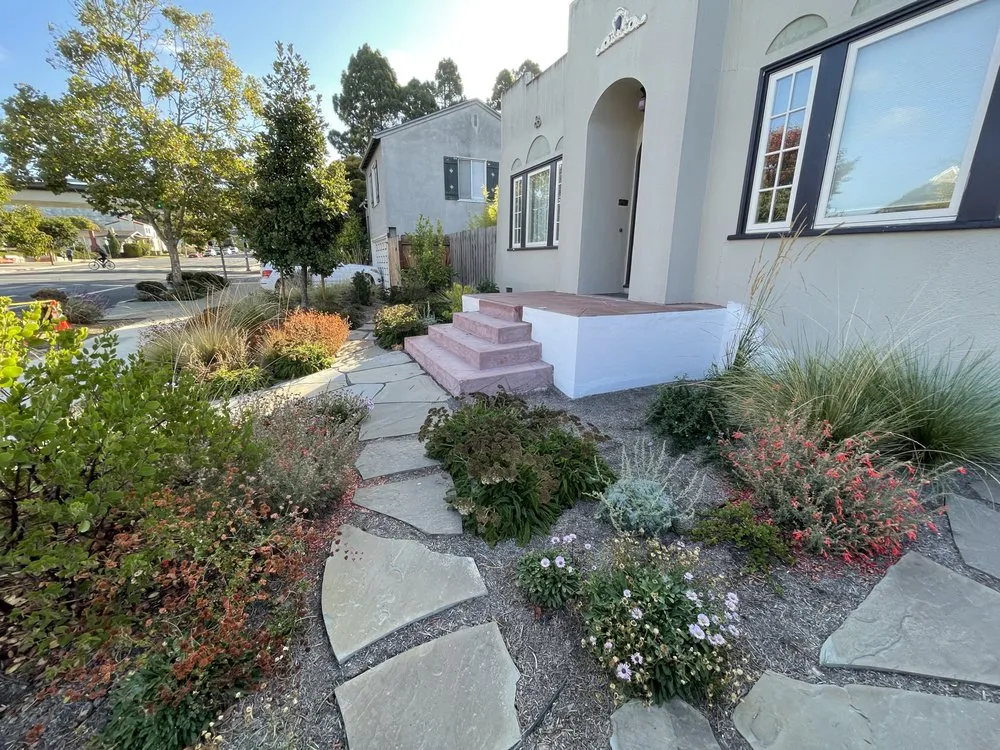 Reliable yard maintenance in Berkeley, CA by RSC Landscape
