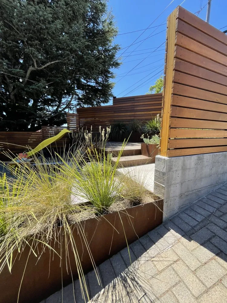 Trusted yard cleanup service in Berkeley, CA - RSC Landscape