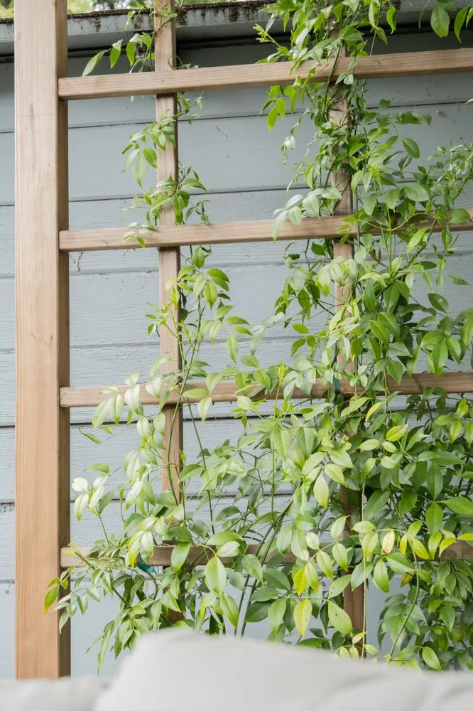 Local outdoor landscaping in Berkeley, CA - RSC Landscape