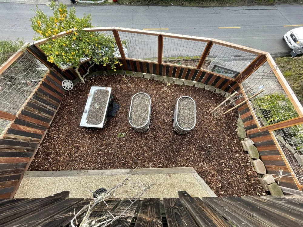 Expert yard cleanup service in Berkeley, CA - RSC Landscape