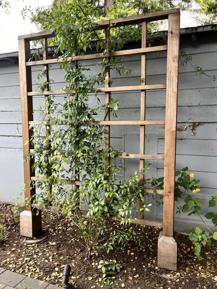 Custom landscape design near you across Berkeley, CA - RSC Landscape