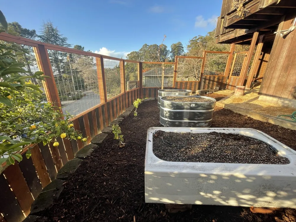 Trusted landscaping services experts serving Berkeley, CA - RSC Landscape