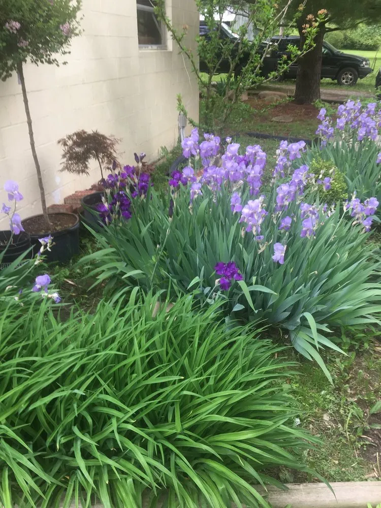 Professional landscape design for residential properties in Saint Paris, OH by RSC landscaping