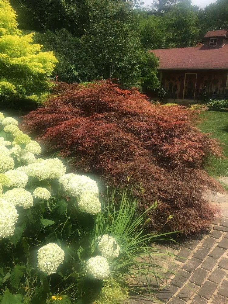 Trusted yard cleanup service for beautiful yards across Saint Paris, OH - RSC landscaping