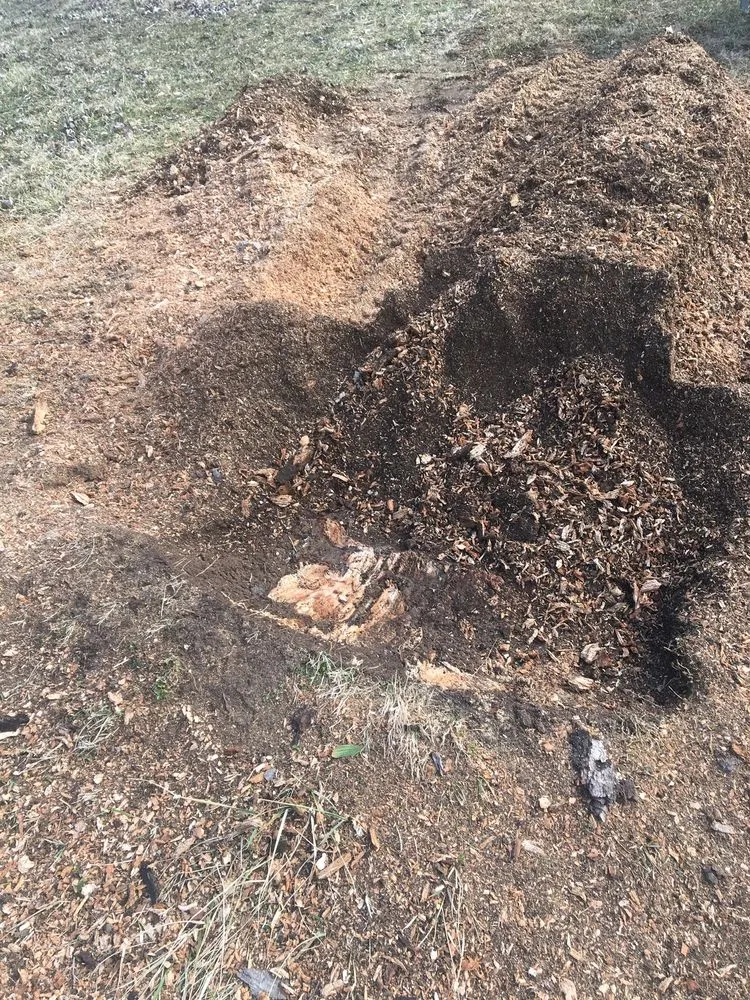 Trusted yard cleanup service for outdoor upgrades across Saint Paris, OH - RSC landscaping