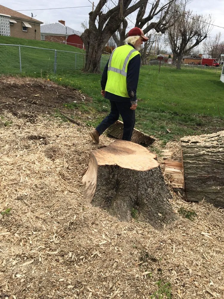 Custom landscape installation experts serving Saint Paris, OH - RSC landscaping