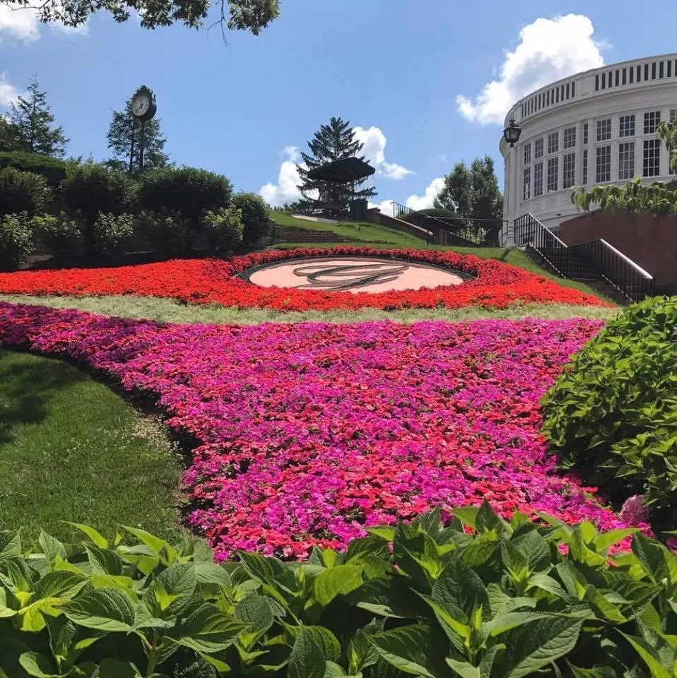 Professional lawn mowing service for homes in Lynchburg, VA by RSG Landscaping