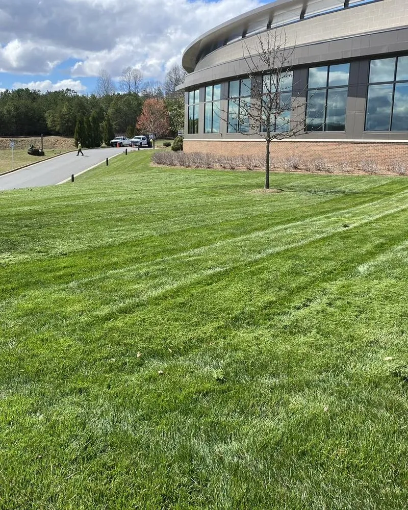 Custom landscape installation in Lynchburg, VA by RSG Landscaping