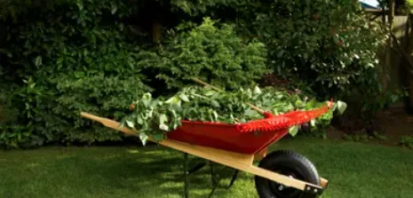 Top-rated landscape installation in Atlantic Beach, FL by RSI Grounds Detailing