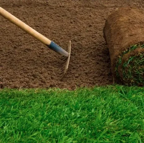 Professional landscape design in Atlantic Beach, FL - RSI Grounds Detailing