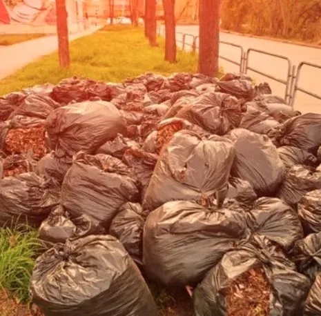 Custom yard maintenance for outdoor upgrades in Atlantic Beach, FL by RSI Grounds Detailing