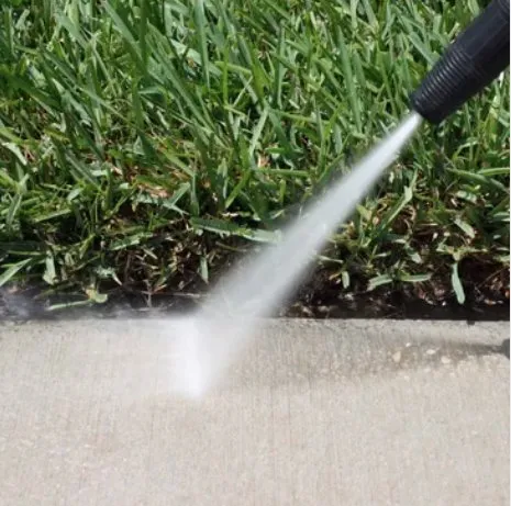 Custom outdoor landscaping for year-round maintenance in Atlantic Beach, FL by RSI Grounds Detailing