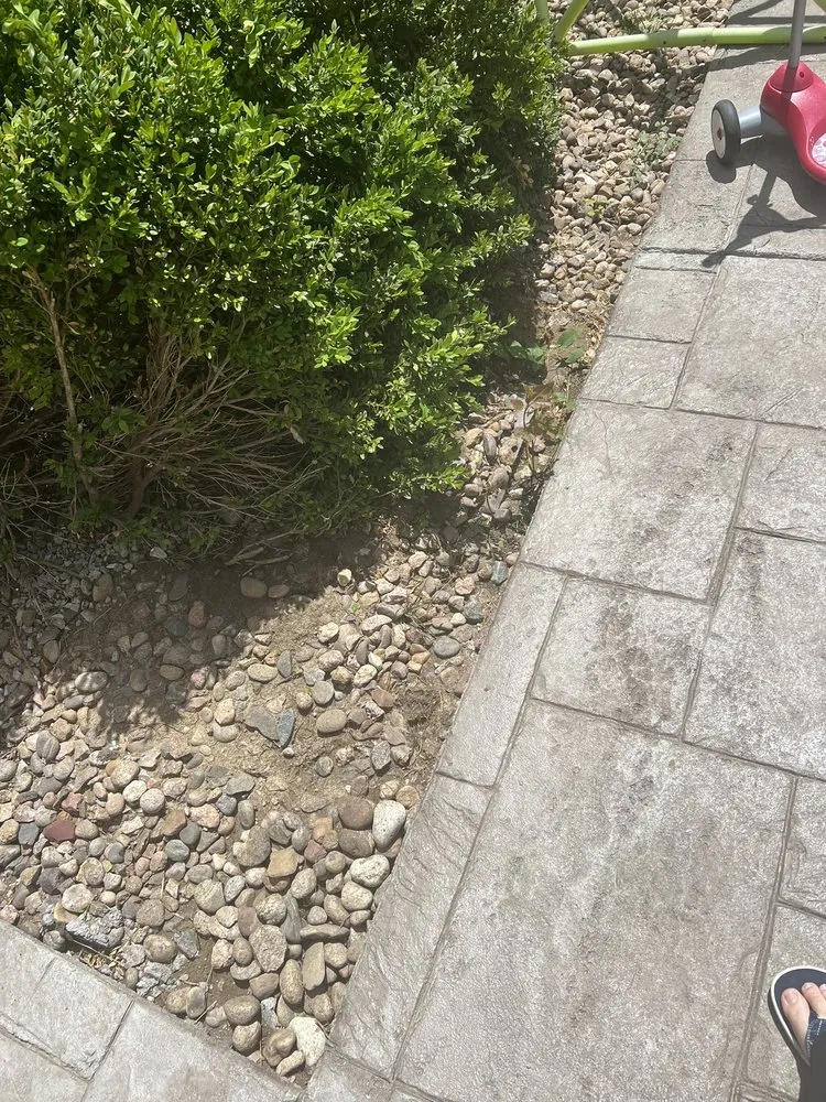 Professional landscaping services experts serving Aurora, CO - R&T Concrete