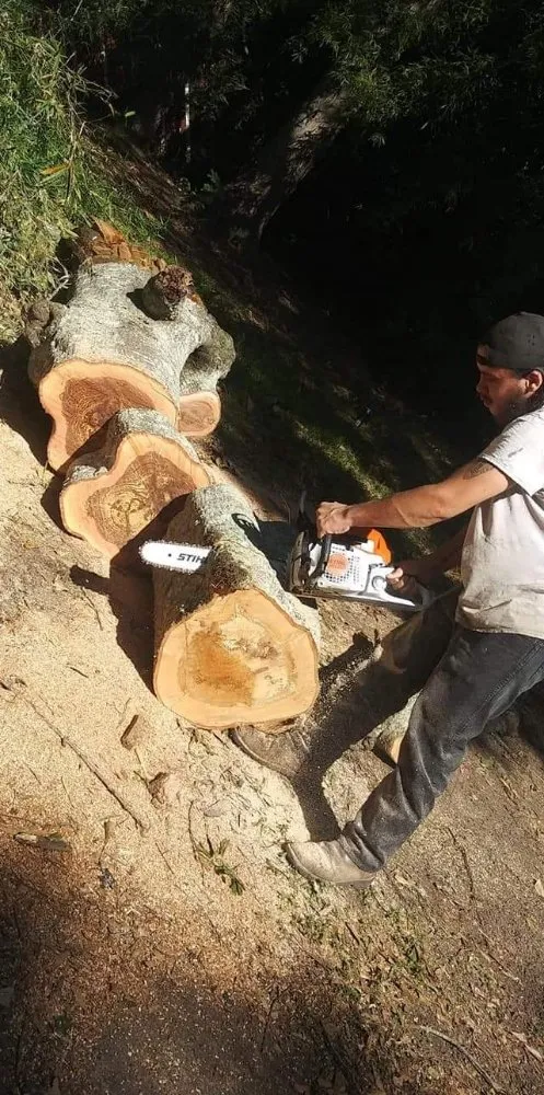 Top-rated lawn care service in Mobile, AL by R&T Handyman Service