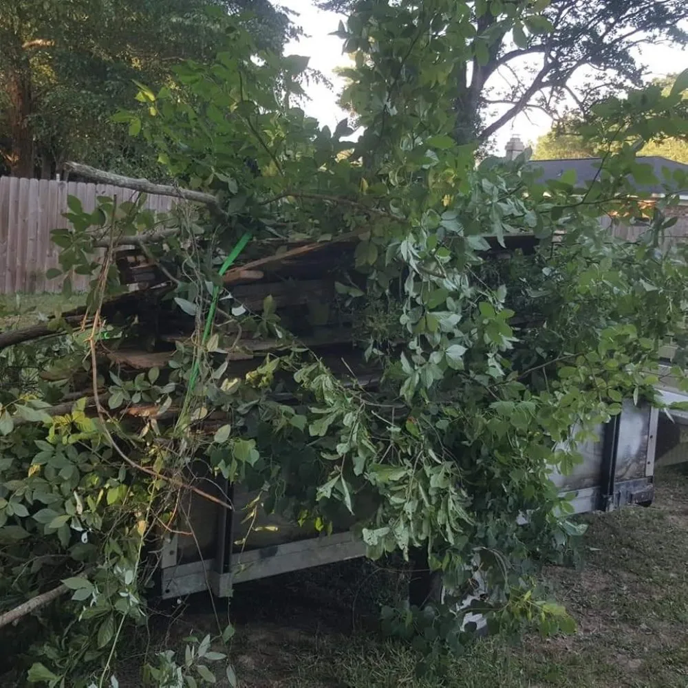 Custom lawn care service experts serving Mobile, AL - R&T Handyman Service