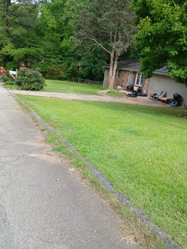 Professional yard cleanup service in Douglasville, GA by RT Landscaping