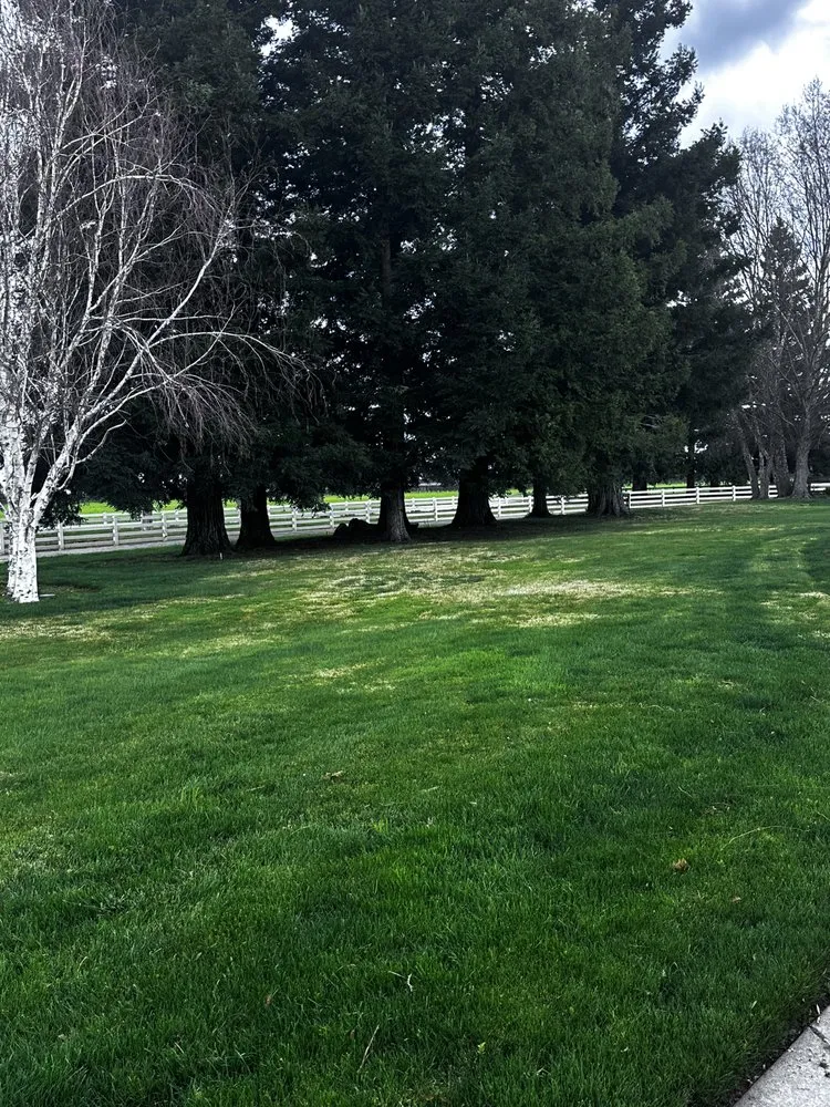 Expert landscape design in Lodi, CA by R&T Landscaping