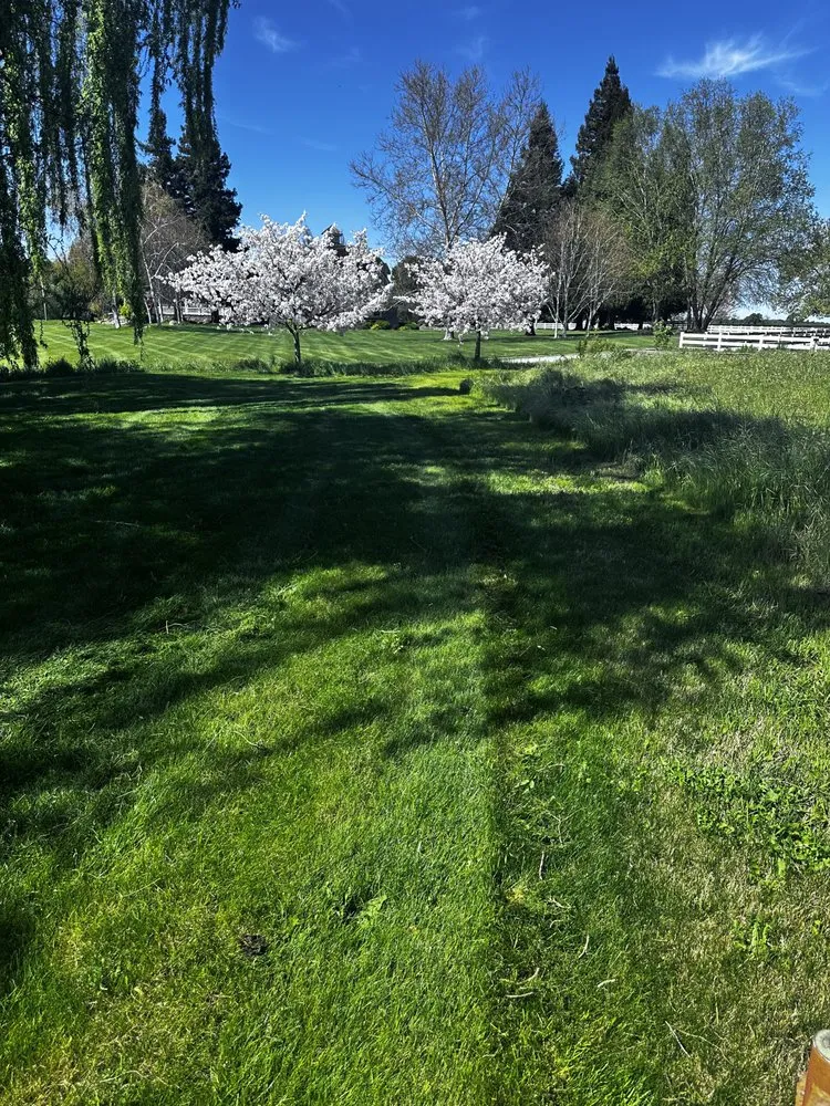 Custom landscape design for residential properties in Lodi, CA by R&T Landscaping