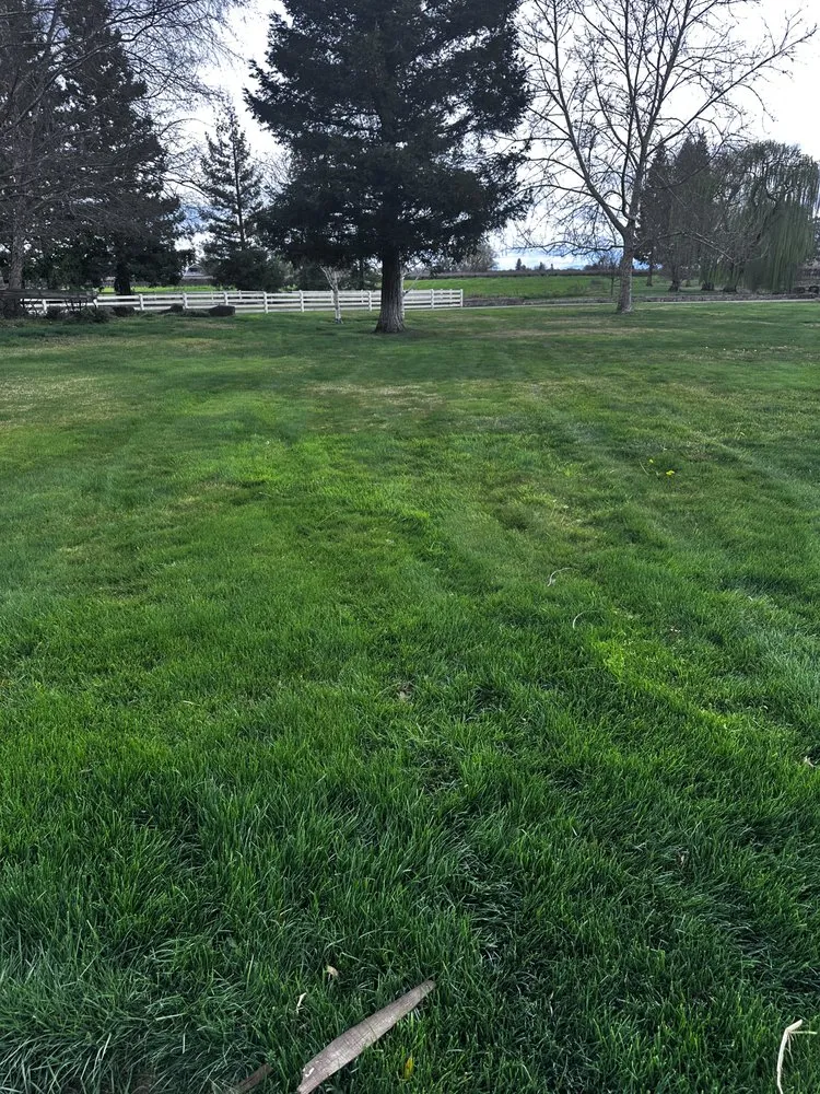 Reliable residential landscaping in Lodi, CA by R&T Landscaping