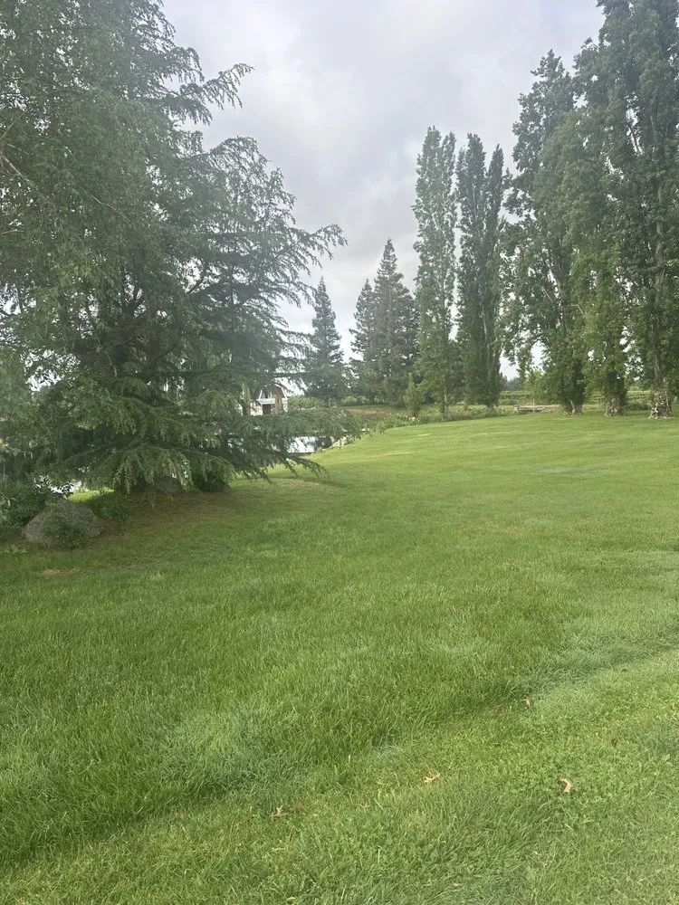 Professional lawn mowing service experts serving Lodi, CA - R&T Landscaping