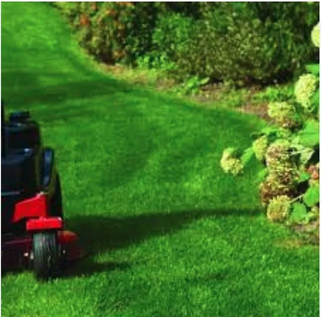 Custom outdoor landscaping for homes across Royse City, TX - R&T Lawn Care