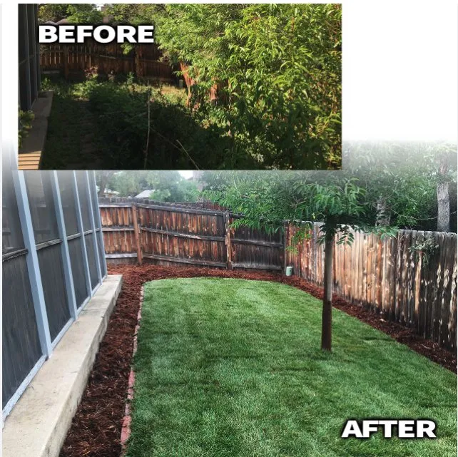 Professional landscape installation for beautiful yards across Royse City, TX - R&T Lawn Care