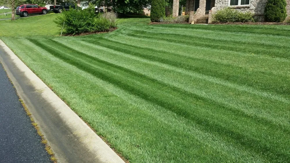 Local landscaping services in Denver, NC by R&T Lawn Services