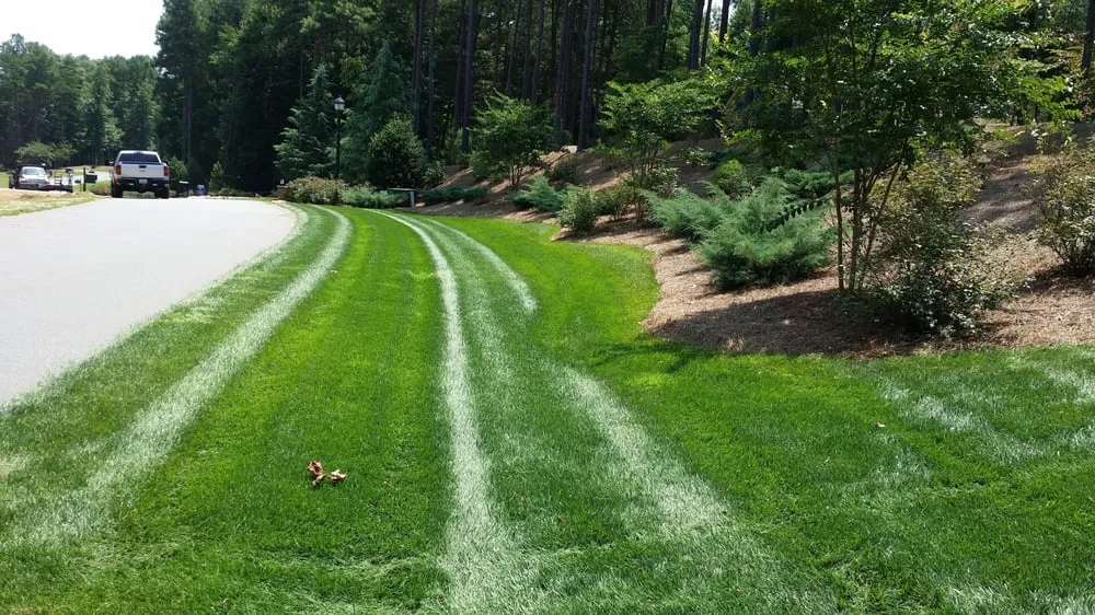Professional lawn care service in Denver, NC by R&T Lawn Services