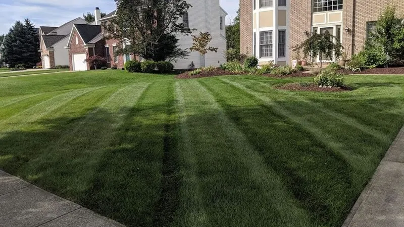 Trusted yard cleanup service experts serving Bridgewater, MA - RT Mowing