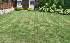 Affordable lawn care service in Bridgewater, MA by RT Mowing