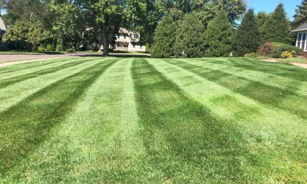 Affordable lawn care service in Bridgewater, MA - RT Mowing