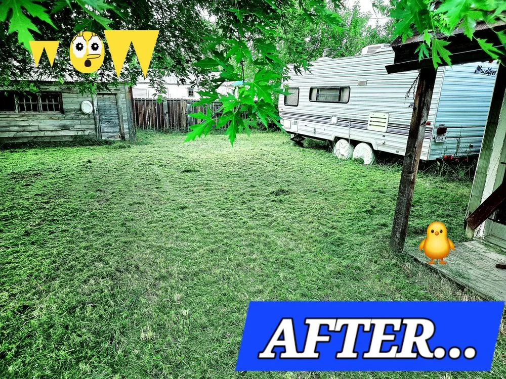 Expert residential landscaping near you across South Lake Tahoe, CA - R&T Yard Care Plus Small Engine Repair