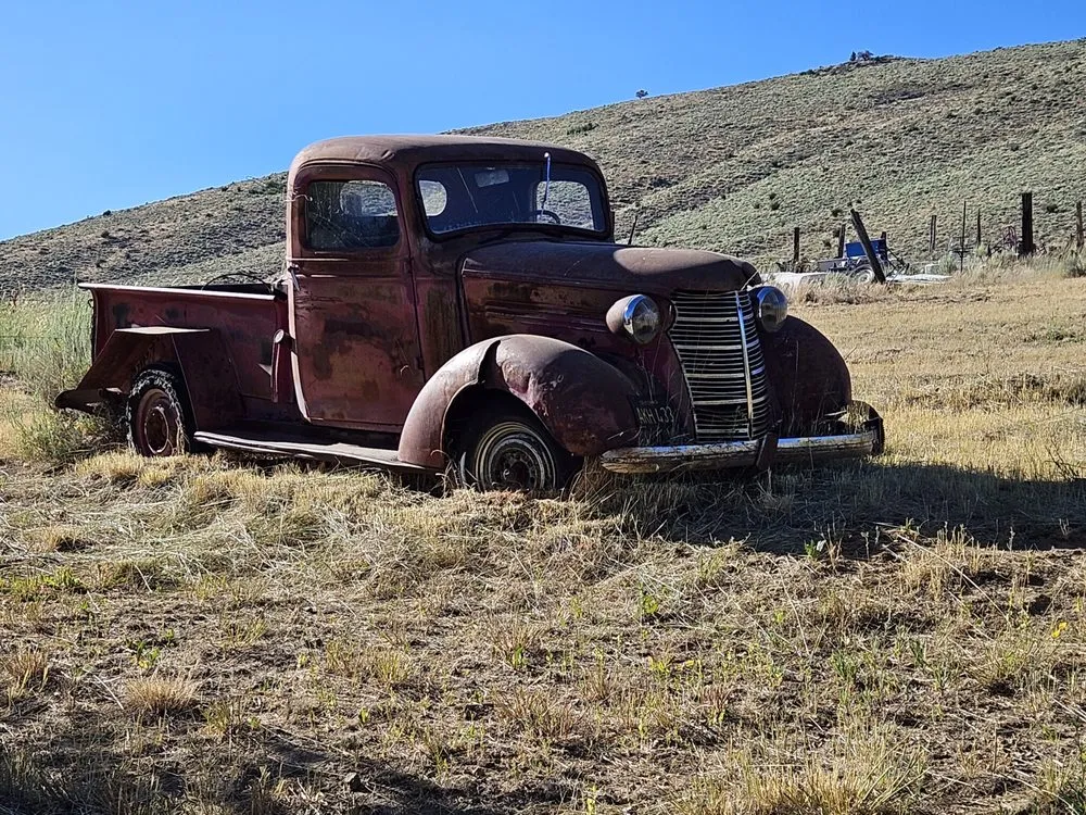 Custom landscape design for beautiful yards across South Lake Tahoe, CA - R&T Yard Care Plus Small Engine Repair