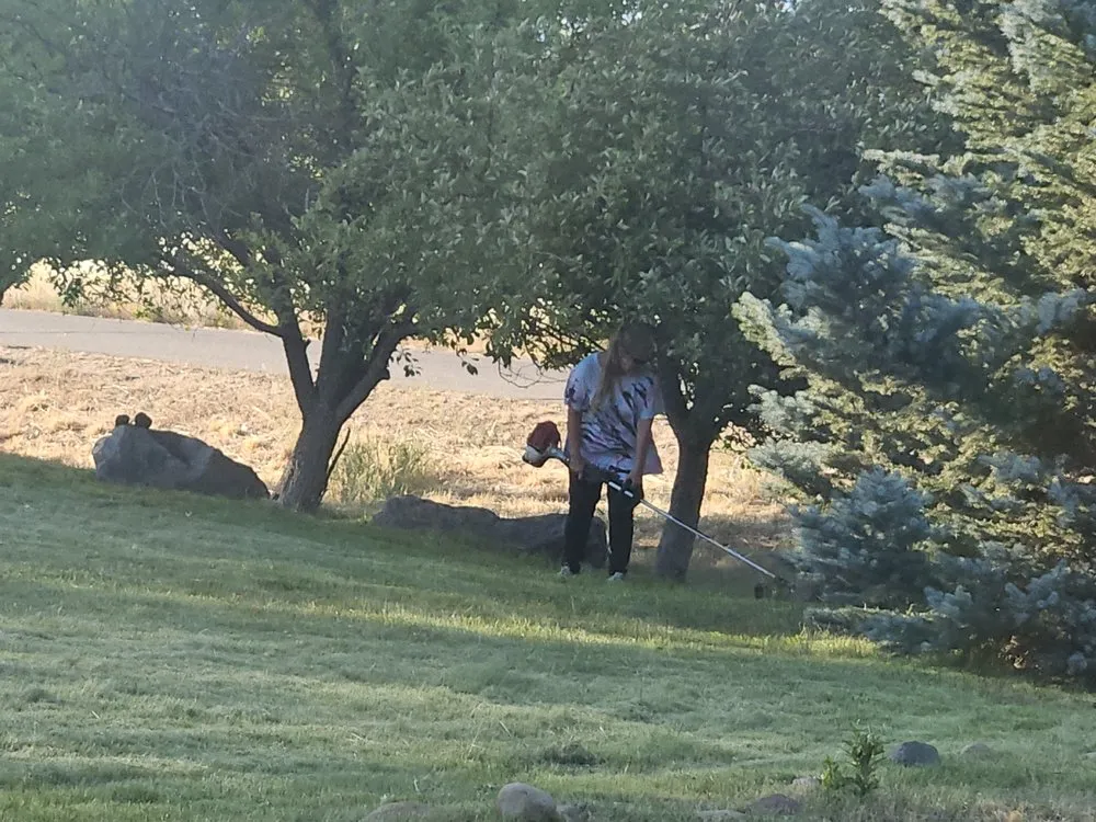 Affordable lawn care service for homes across South Lake Tahoe, CA - R&T Yard Care Plus Small Engine Repair