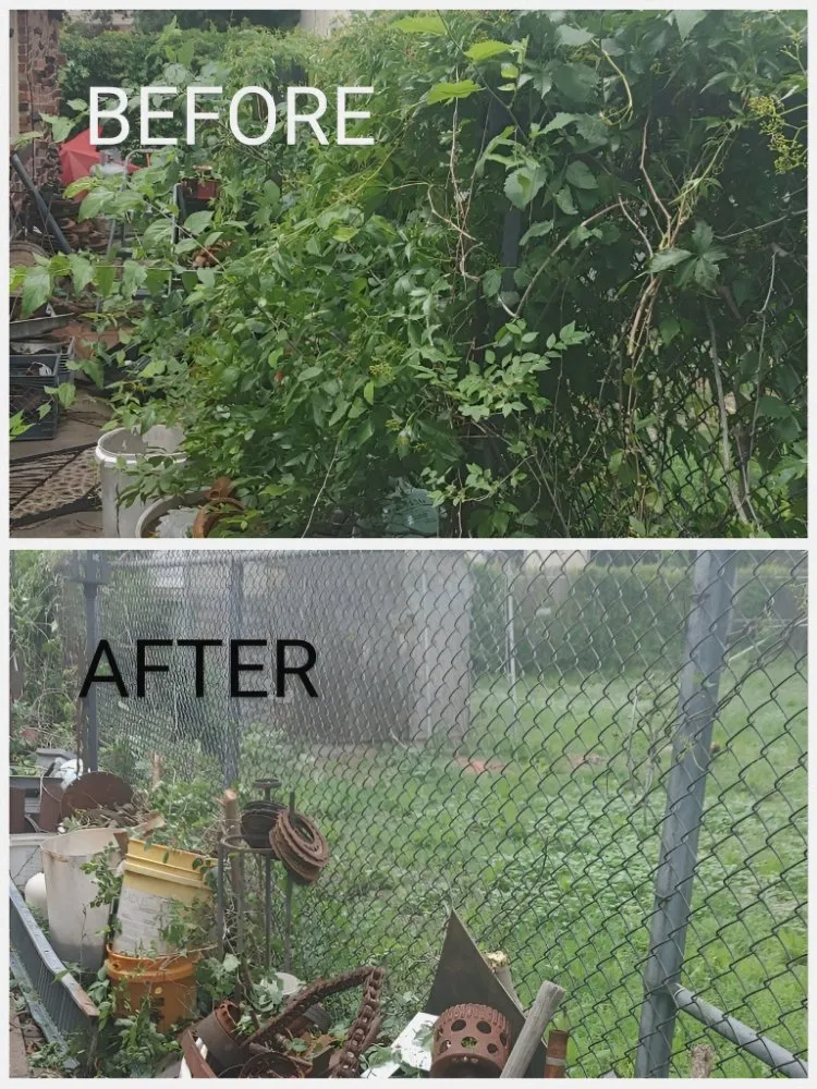 Affordable yard cleanup service in Amarillo, TX by RTA & CO.