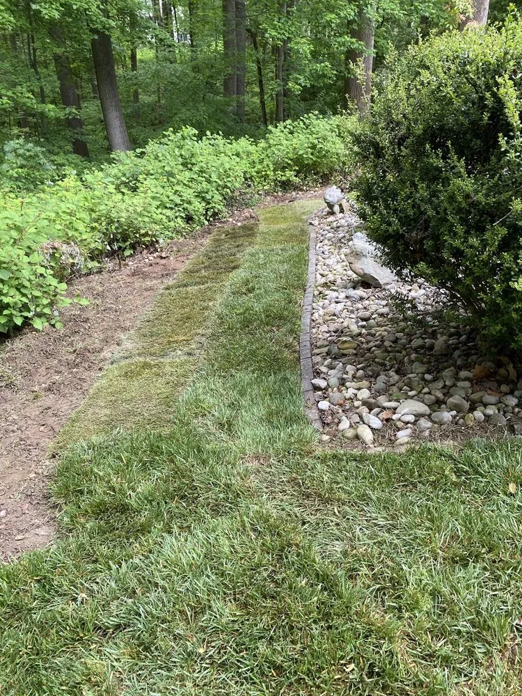 Reliable lawn mowing service in North Springfield, VA by RTA landscape