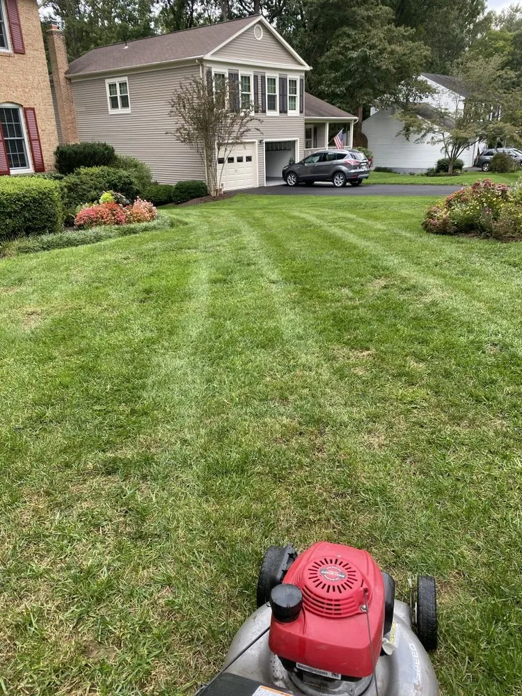 Professional outdoor landscaping for year-round maintenance in North Springfield, VA by RTA landscape
