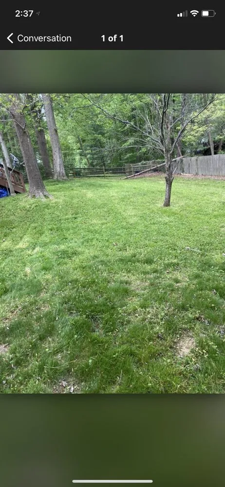 Affordable landscape design in North Springfield, VA by RTA landscape