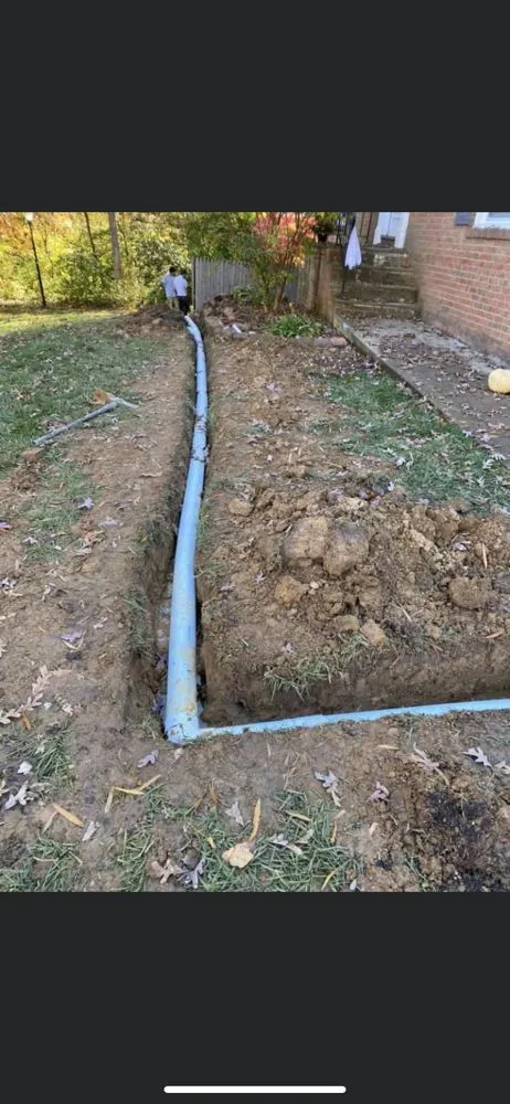 Professional landscape installation in North Springfield, VA by RTA landscape