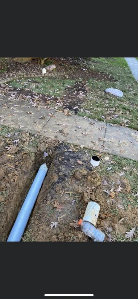 Top-rated residential landscaping in North Springfield, VA by RTA landscape