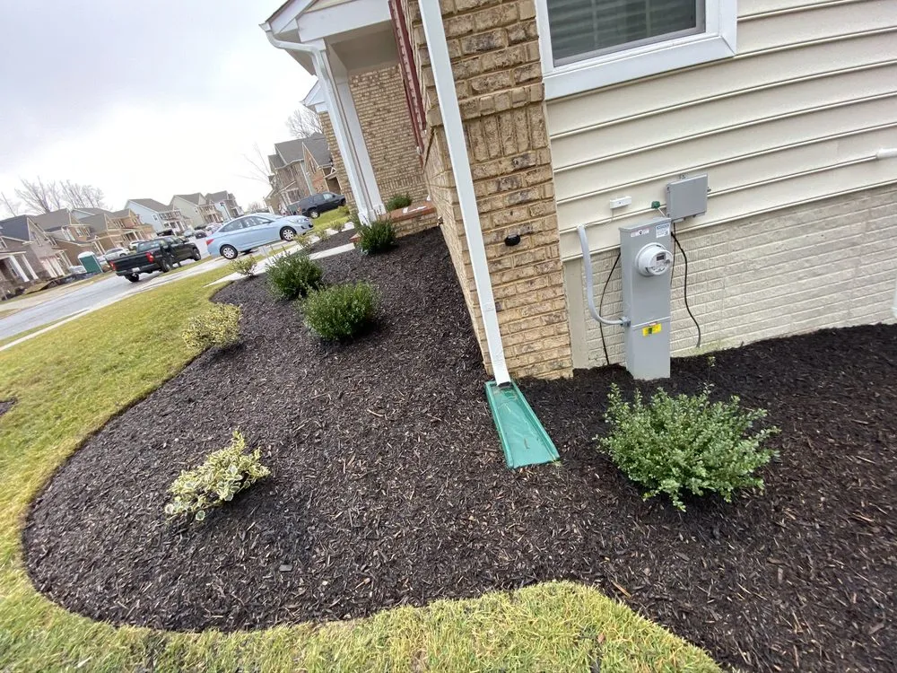 Expert landscaping services for beautiful yards in Laurel, MD by RTB Landscaping