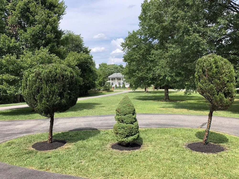 Top-rated yard cleanup service near you across Laurel, MD - RTB Landscaping