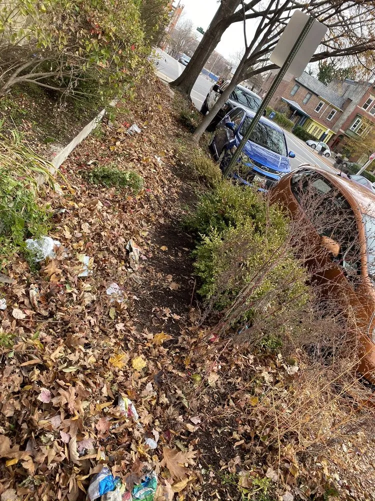 Local landscaping services in Laurel, MD by RTB Landscaping