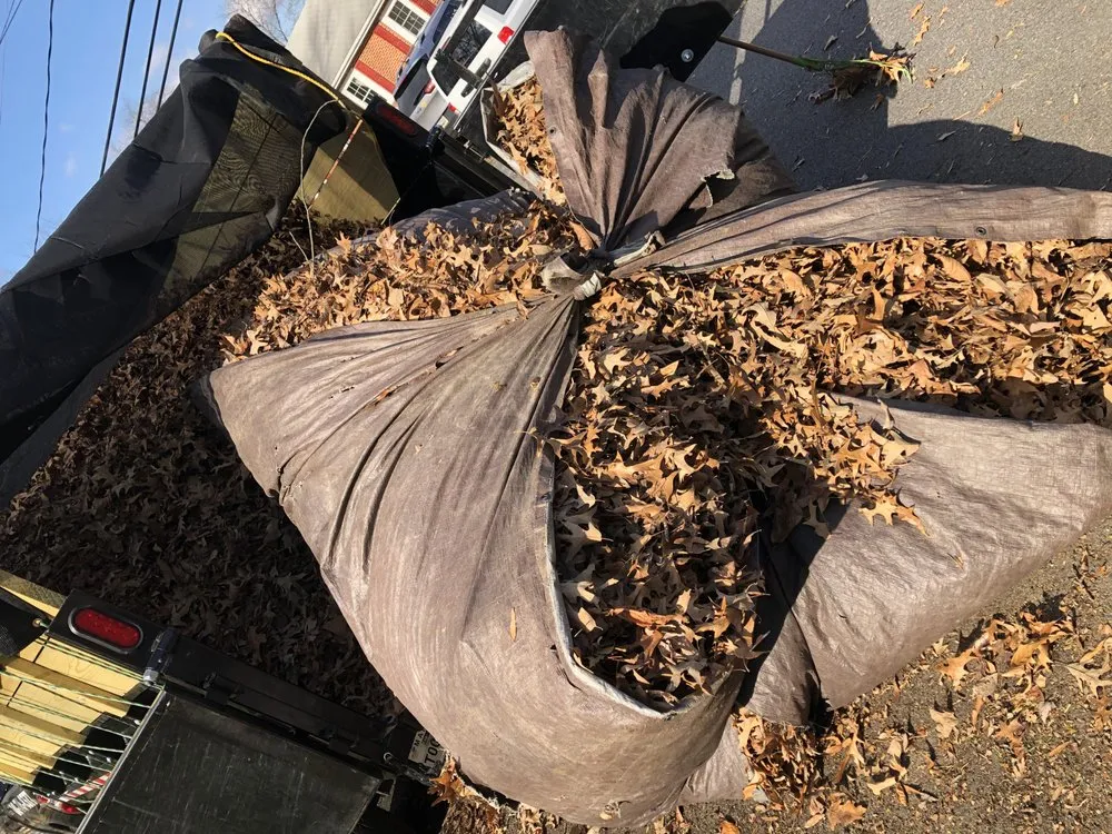 Top-rated lawn mowing service experts serving Laurel, MD - RTB Landscaping