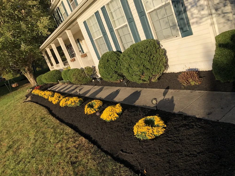 Top-rated yard cleanup service for outdoor upgrades across Laurel, MD - RTB Landscaping