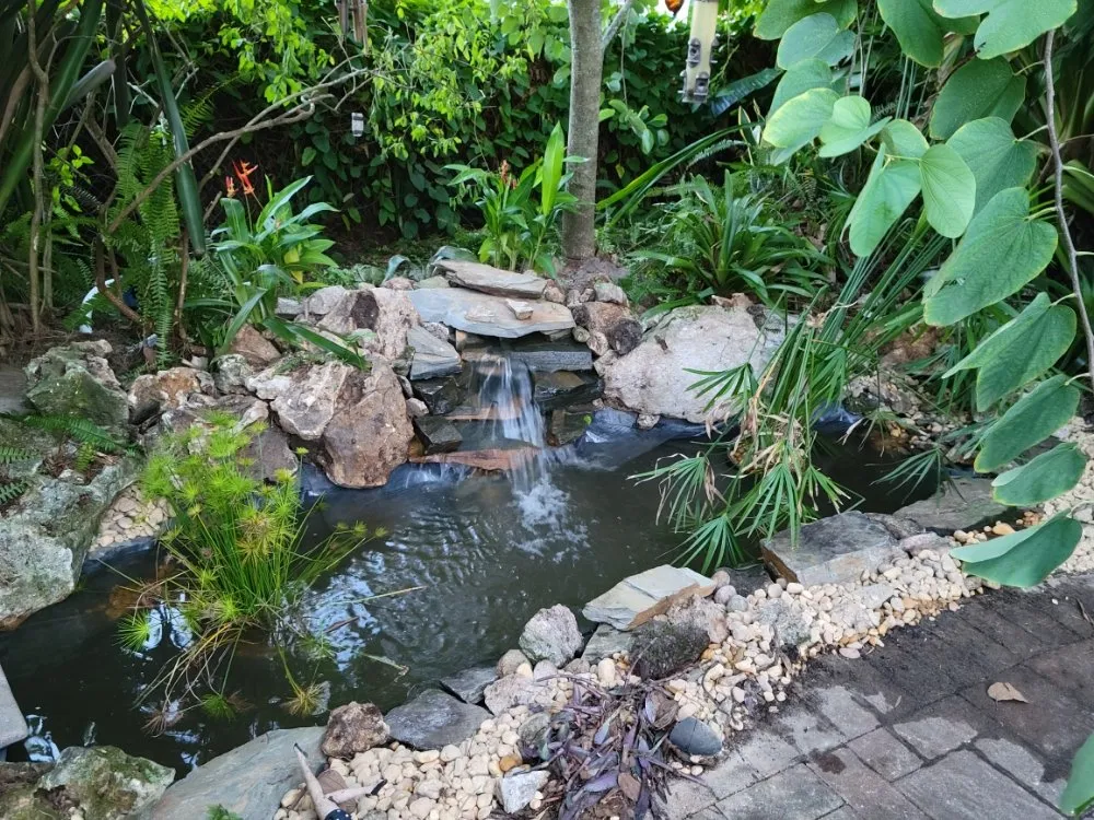 Top-rated landscaping services for homes in Deland, FL by Rtistic Creation