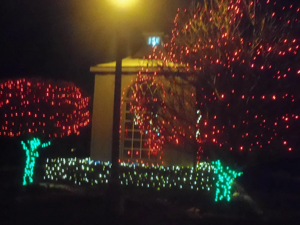 Top-rated yard maintenance in Macomb, MI by Rtistic Hardscapes